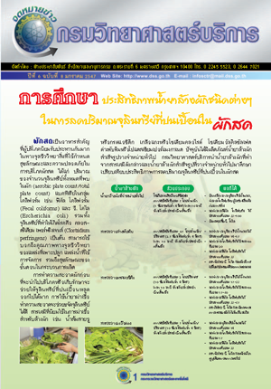 รายงานกิจกรรม 2547 (annual report 2004)