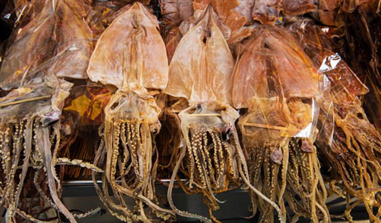 Dried_squid_-_152410.jpg - 398.30 kB