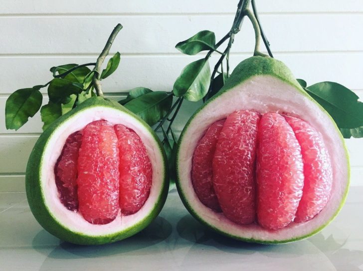 Grapefruit_-_152426.jpg - 65.50 kB