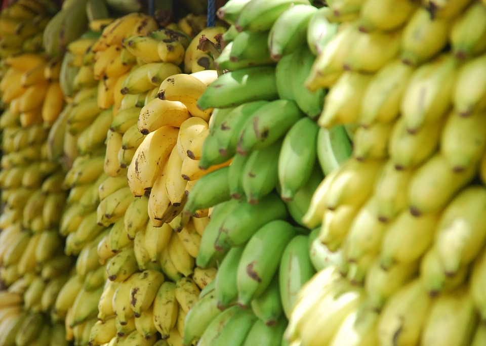 bananas-152414.jpg - 132.72 kB
