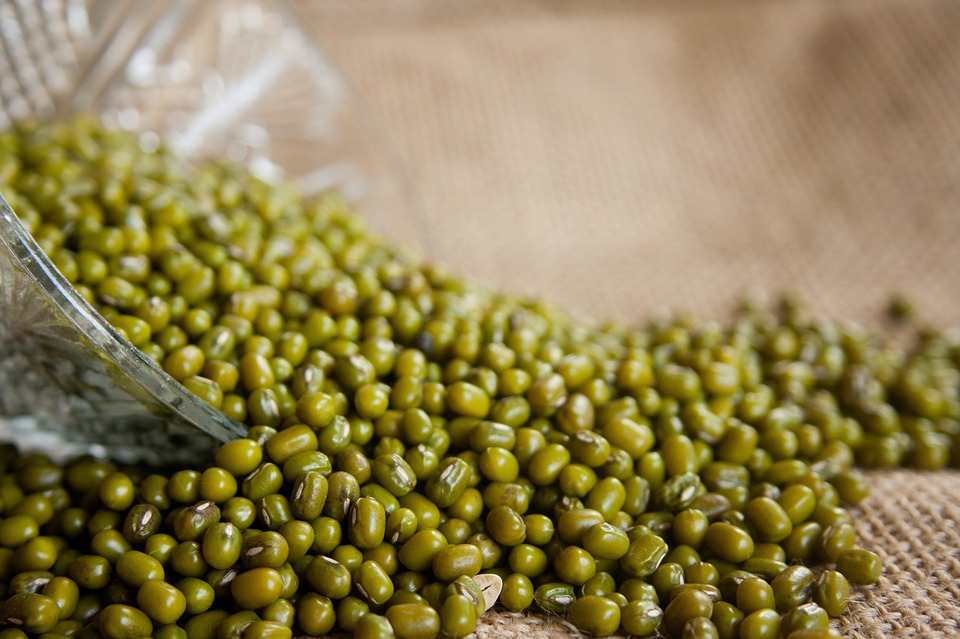mung-beans-152190.jpg - 143.96 kB