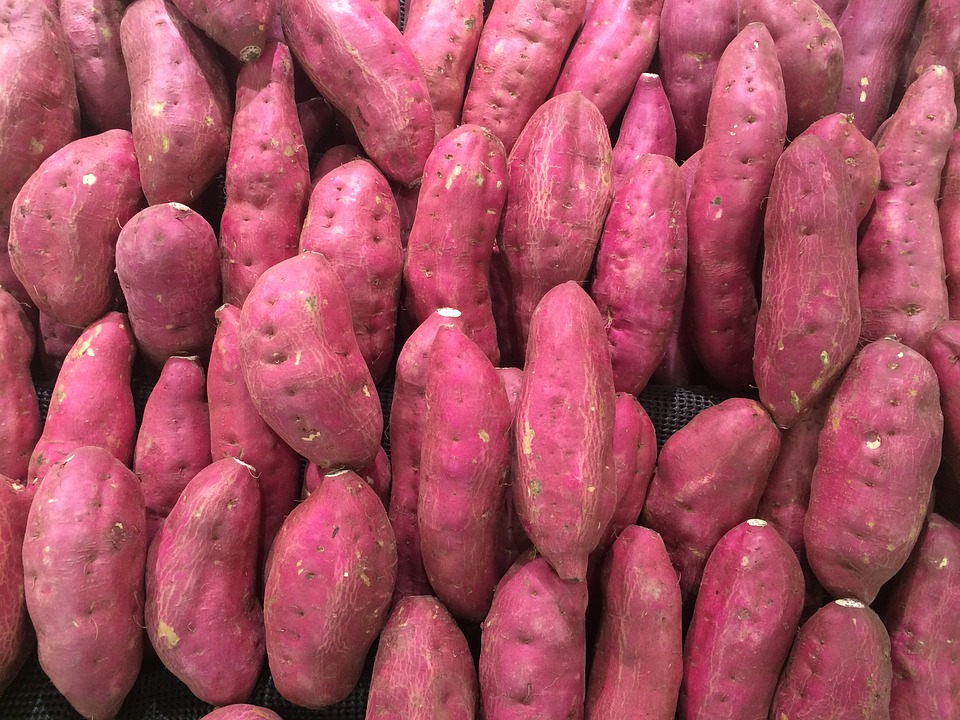 sweet-potato-152424.jpg - 245.14 kB