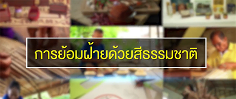 VDO การย้อมฝ้ายด้วยสีธรรมชาติ