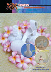 วารสารกรมวิทยาศาสตร์บริการ ปีที่ 53 ฉบับที่ 169