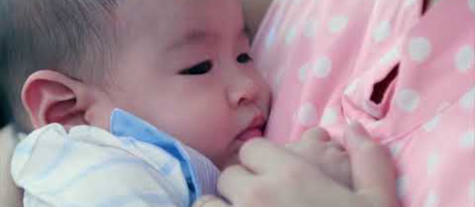 เทคโนโลยีการผลิตเครื่องดื่มน้ำหัวปลีผสมสมุนไพรพร้อมดื่ม