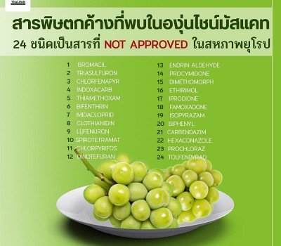 เชือดเกลี้ยง! ถ้าเป็นมาตรฐานอียู จากกรณีพบสารพิษในองุ่นไชน์มัสแคท